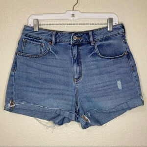 Pacsun Women’s Washed Distressed Mom Shorts, Size 30